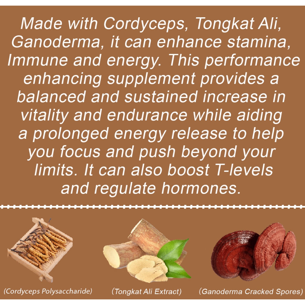 Tongkat Ali Cordyceps Ganoderma
