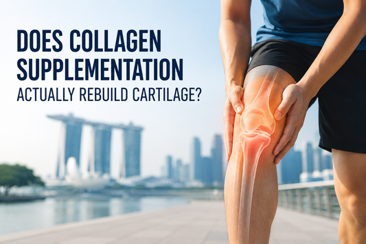 Does Collagen Supplementation Actually Rebuild Cartilage?