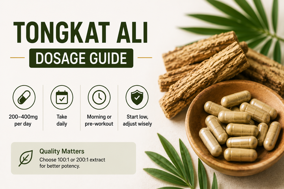Tongkat Ali Dosage Guide: How Much Should You Actually Take?