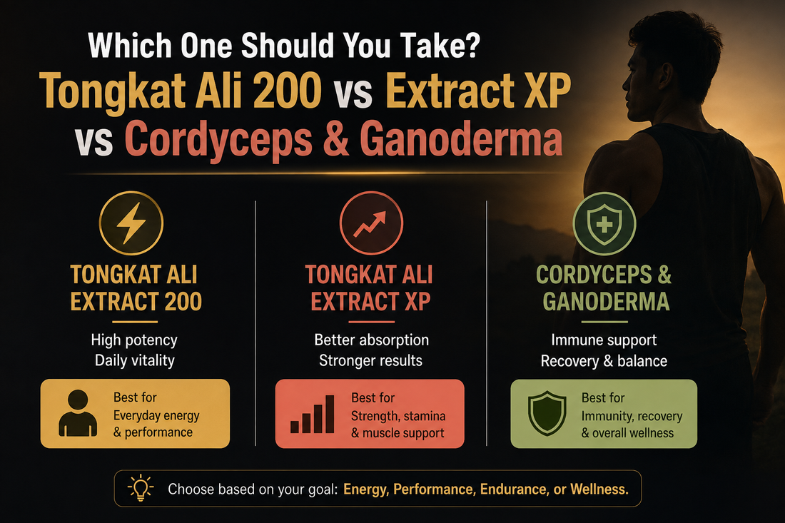 AliKing Tongkat Ali Extract 200 vs Extract XP vs Cordyceps &amp; Ganoderma: Which One Should You Take?