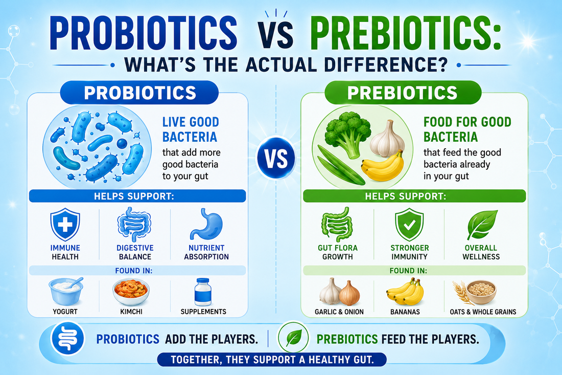 Probiotics vs Prebiotics: What's the Actual Difference?
