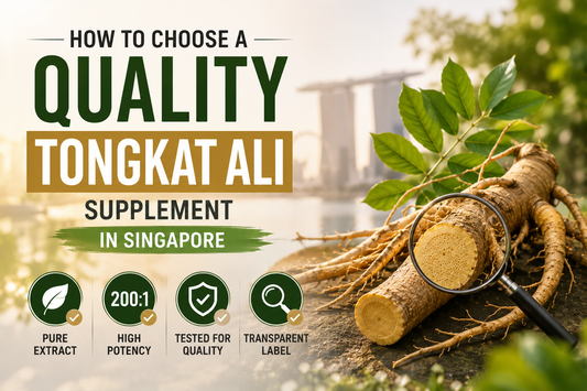 GreenKare AliKing — How to Choose a Quality Tongkat Ali Supplement in Singapore