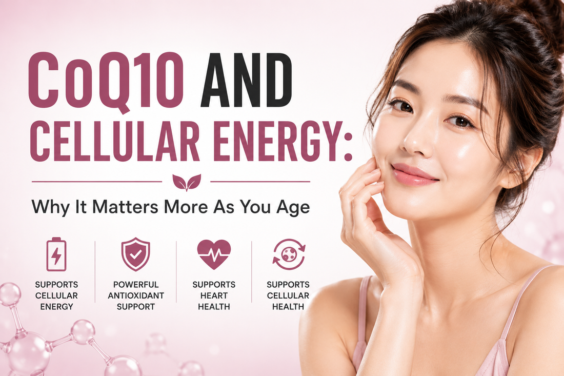 CoQ10 and Cellular Energy: Why It Matters More As You Age