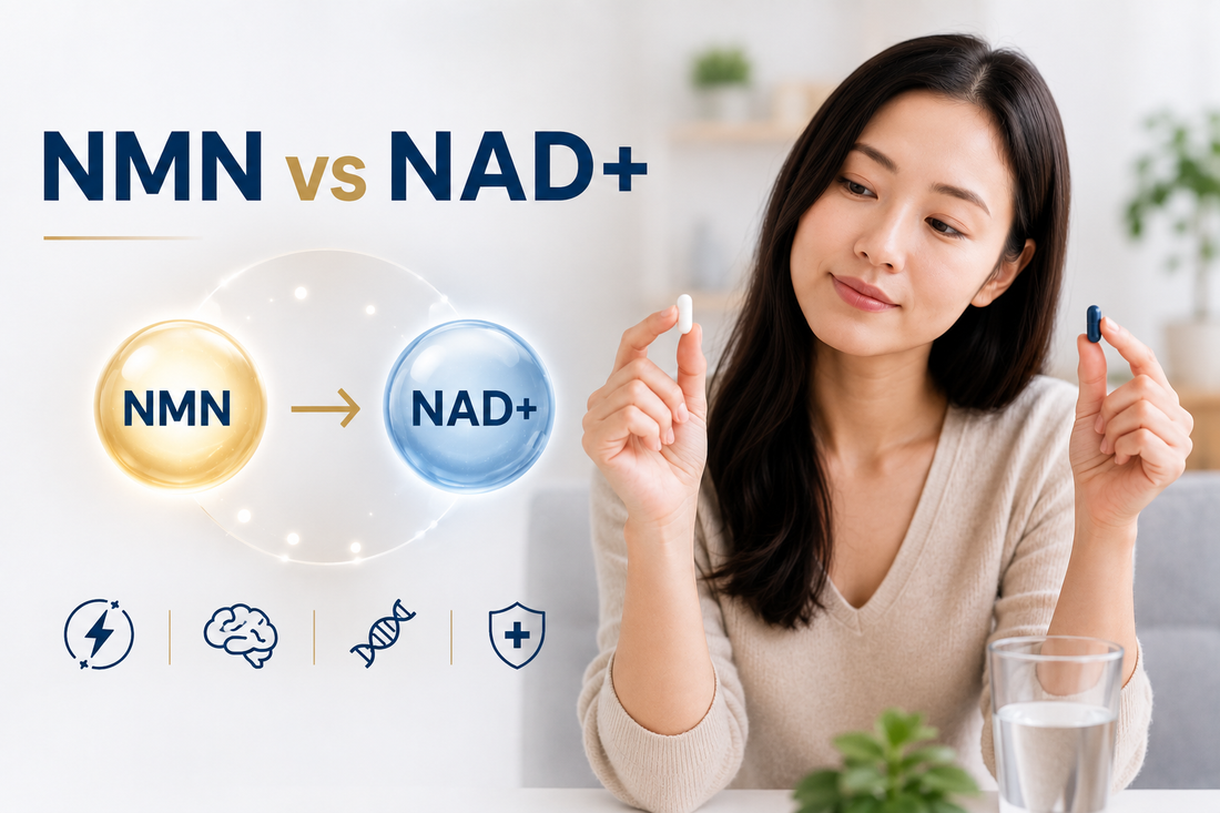 NMN vs NAD+: What's the Difference and Which One Should You Actually Take?