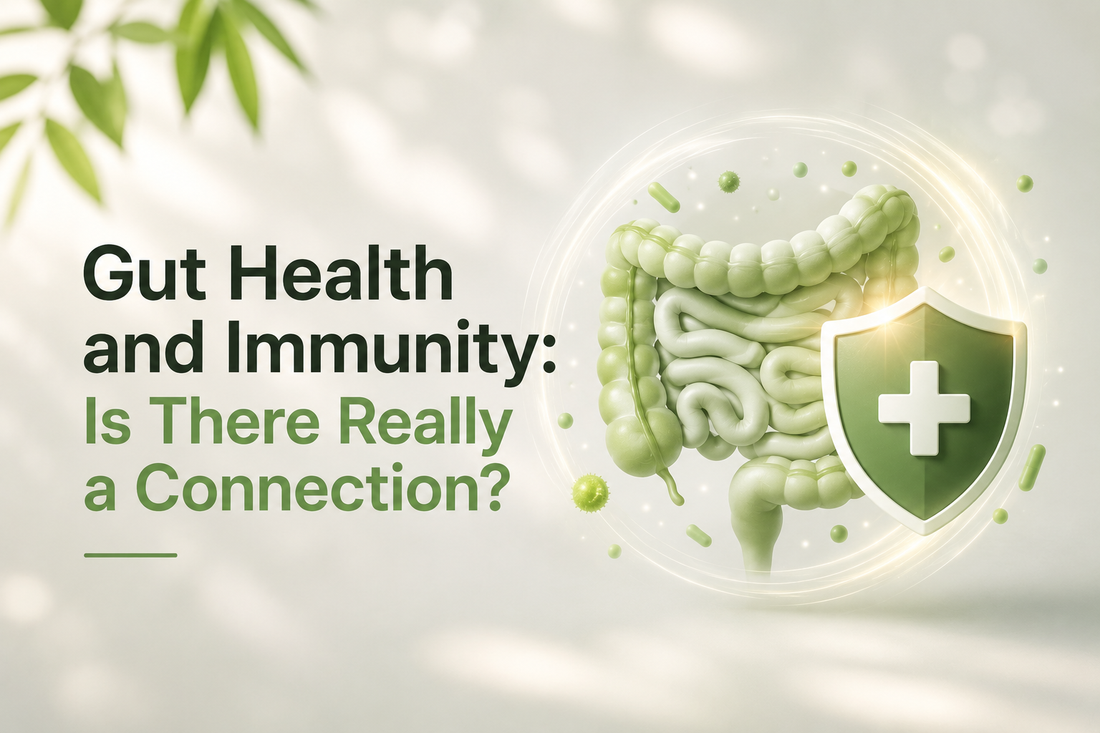 Gut Health and Immunity: Is There Really a Connection?