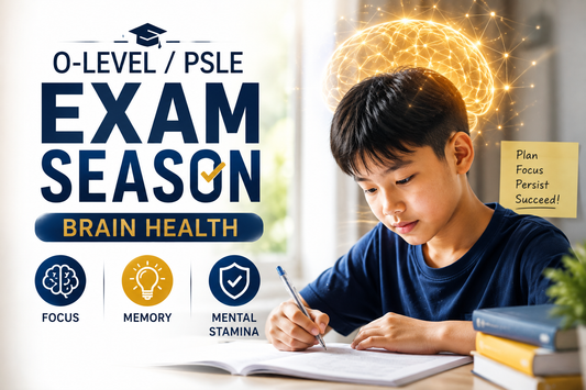 O-Level/PSLE Exam Season — Brain Health