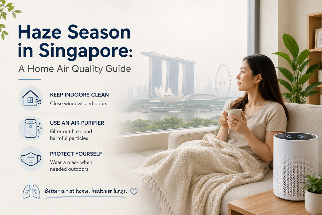 Haze Season in Singapore: A Home Air Quality Guide