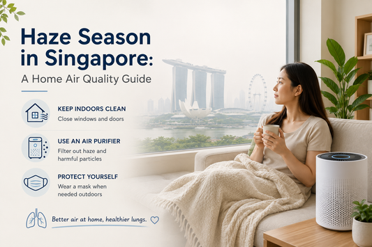 Haze Season in Singapore: A Home Air Quality Guide