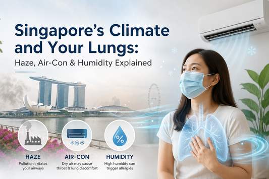 Singapore's Climate and Your Lungs: Haze, Air-Con & Humidity Explained