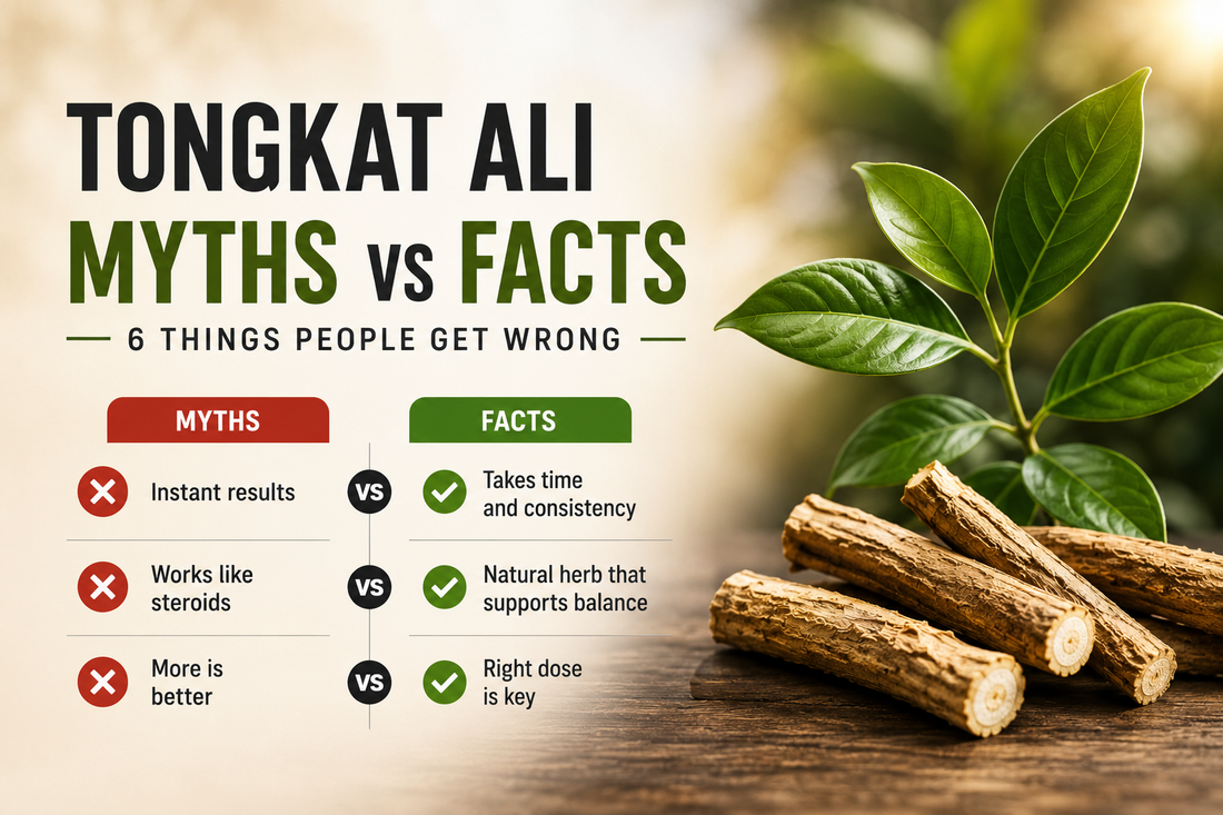 Tongkat Ali Myths vs Facts: 6 Things People Get Wrong