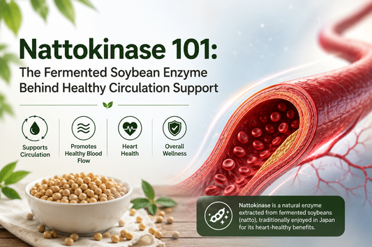Nattokinase 101: The Fermented Soybean Enzyme Behind Healthy Circulation Support