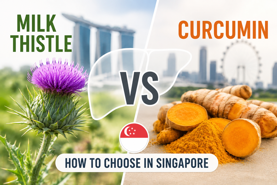 Milk Thistle vs Curcumin: How to Choose a Liver Supplement in Singapore