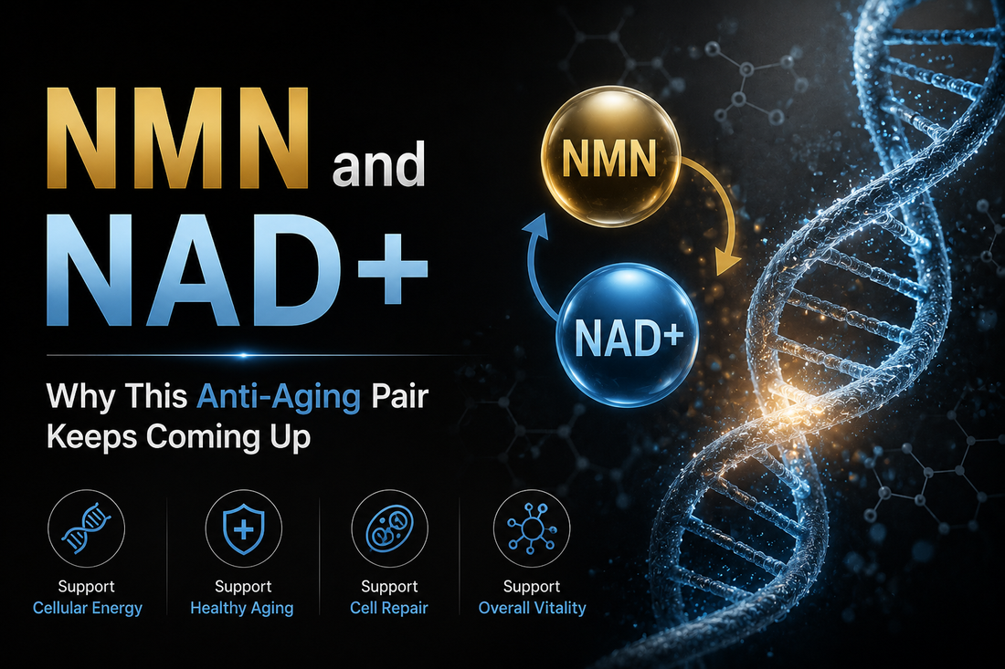 NMN and NAD+: Why This Anti-Aging Pair Keeps Coming Up