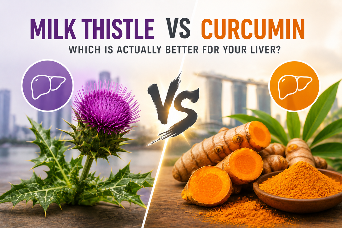 Milk Thistle vs Curcumin: Which Is Actually Better for Your Liver?