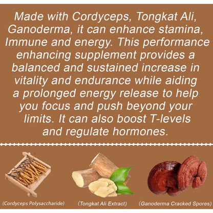 Tongkat Ali Cordyceps Ganoderma